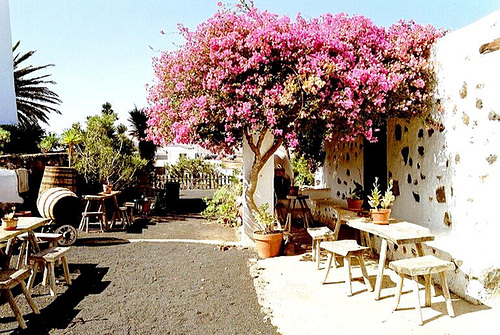 Museo agricola el patio Tiagua. ©UdoSm