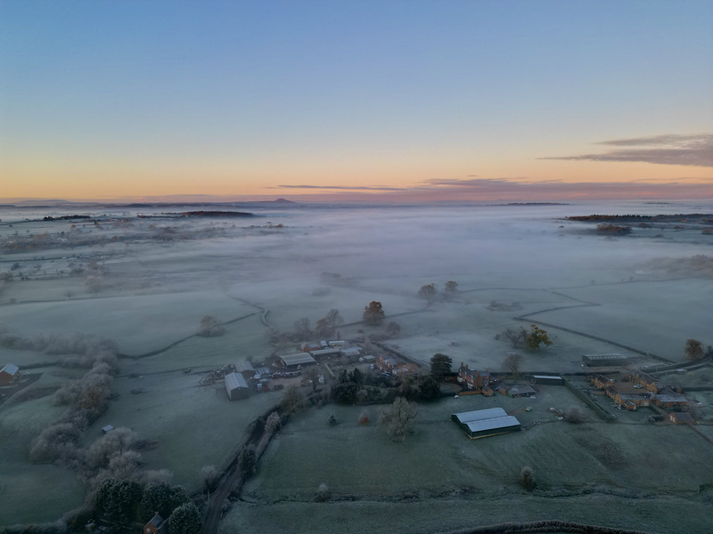 Morning fog