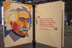 IMG 3596 IMG 3596