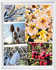 Eisige Impressionen Eisige Impressionen