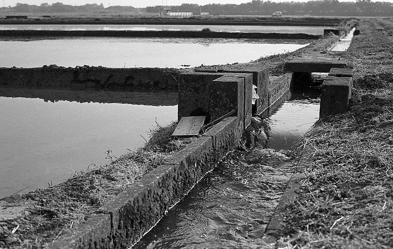 Irrigation ditch