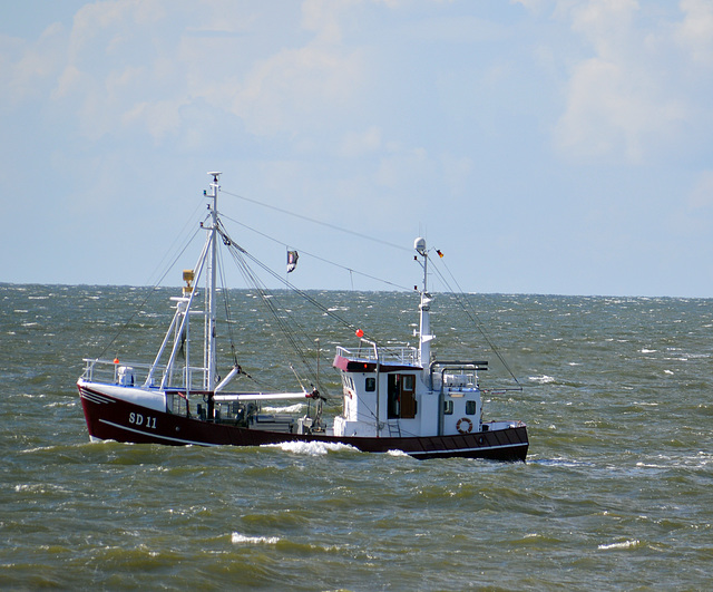 Auf Krabbenfang vor Sankt Peter Ording