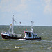 Auf Krabbenfang vor Sankt Peter Ording