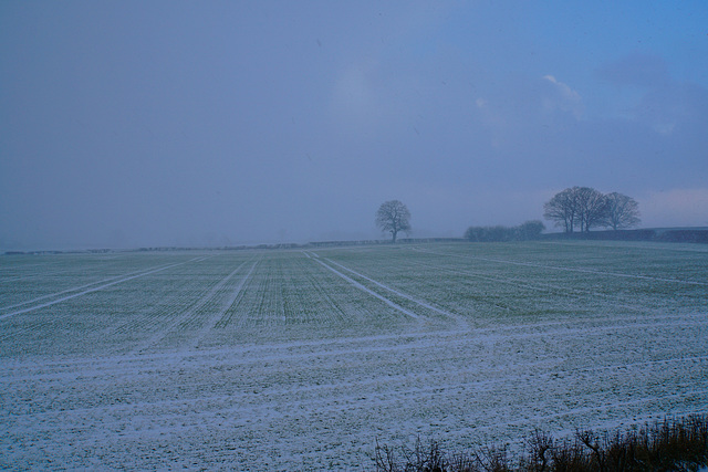 Snow in Gnosall