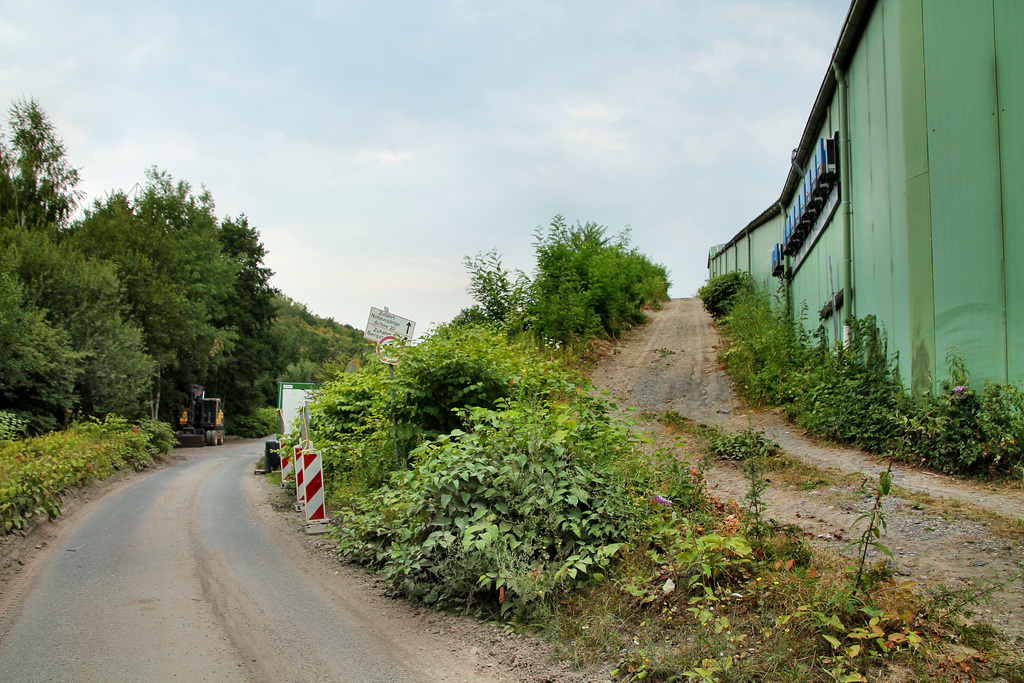 Am Fuß der Halde Prosperstraße (Bottrop-Welheim) / 22.07.2018