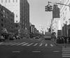 New York crosswalk