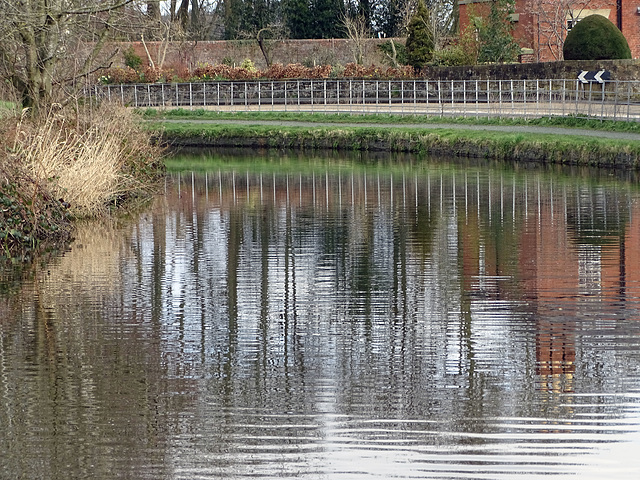 Happy and Healthy Fence Friday Everyone