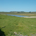 HWH - Grindon Lough [low tide]