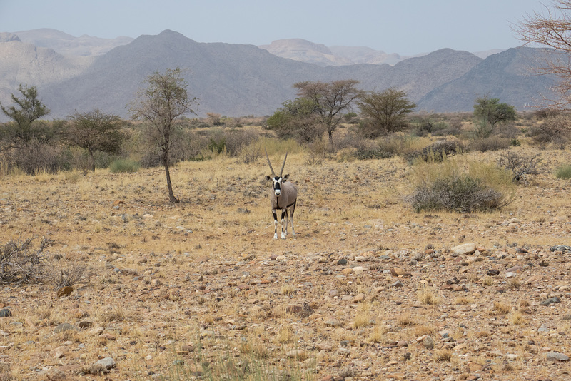 Namibia-0444