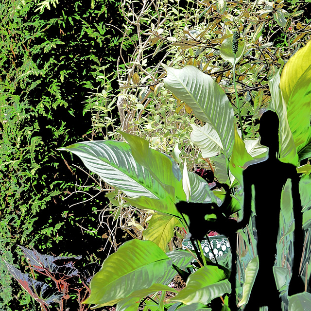 Amusement... Amusement...