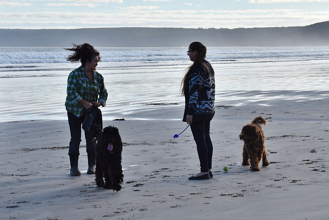 autumn at the beach