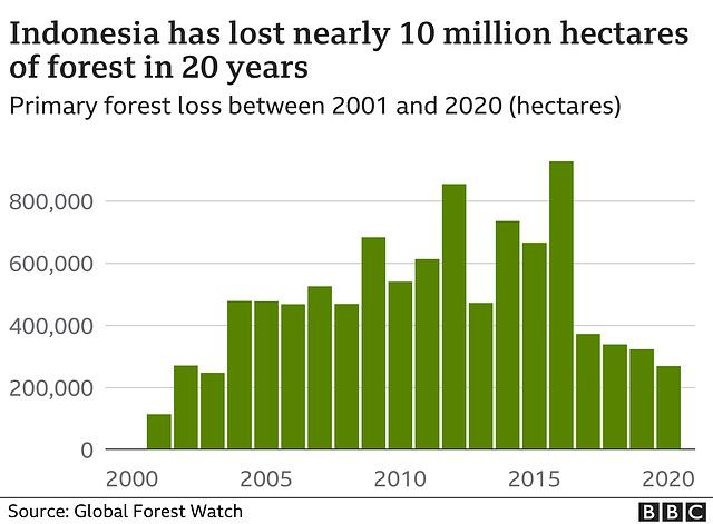 clch - Indonesian deforestation