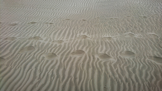 Spuren im Sand, St. Peter-Ording