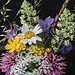 FS1 Blumen