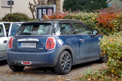 Mini im Herbst