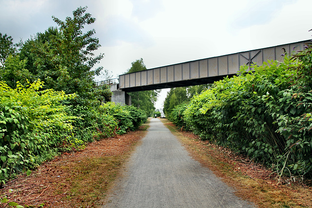 Brücke der stillgelegten RAG-Zechenbahn (Bottrop-Welheim) / 22.07.2018