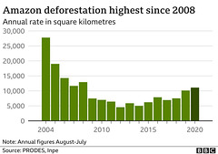 clch - South America's deforestation [2020]