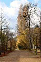 Der Weg zum Weiher