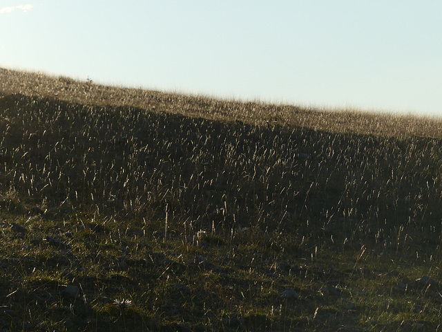 20250916 -19 Haut diois (Cascades Sapet - Valdrome) (147)