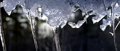 Ice sculpture on roof edge Ice sculpture on roof edge