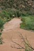 IMG 7081