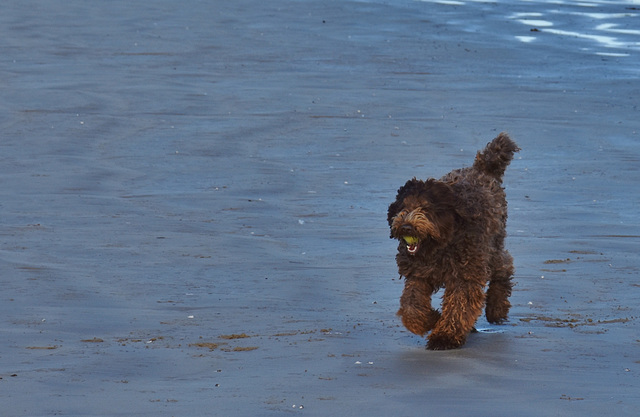 autumn at the beach