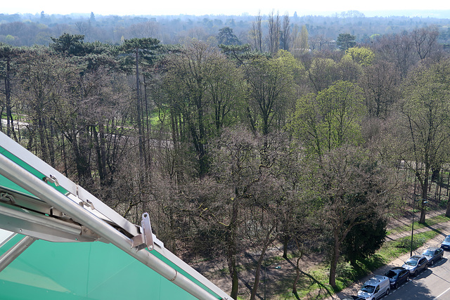 Bois de Boulogne