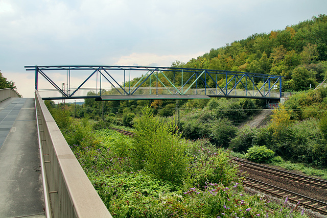 Brücke über der Bahnlinie zur Halde Beckstraße (Bottrop-Batenbrock) / 22.07.2018