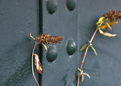 Urban Growth 5