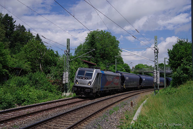 BÖ0025981 BÖ0025981