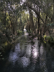 Por la ribera del río Genil