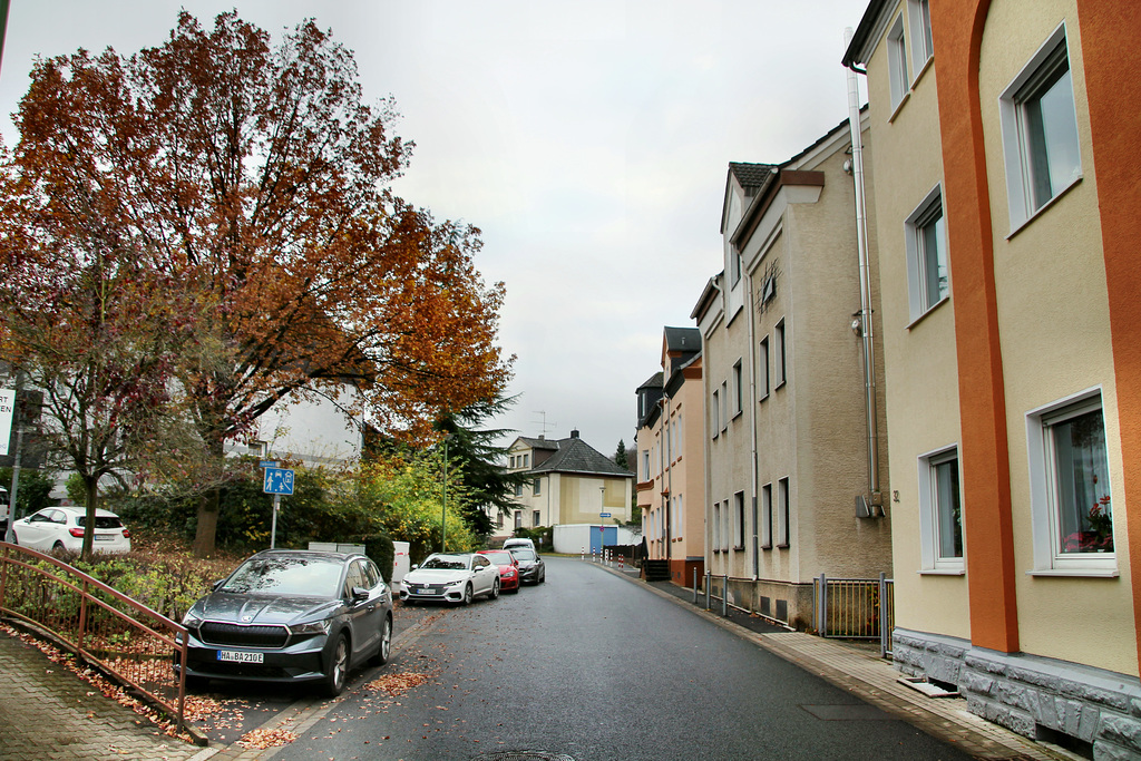 Holthauser Straße (Hagen-Holthausen) / 13.11.2021