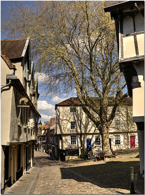 Elm Hill, Norwich