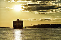 CMA CGM MONTMARTRE