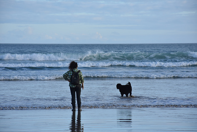 autumn at the beach