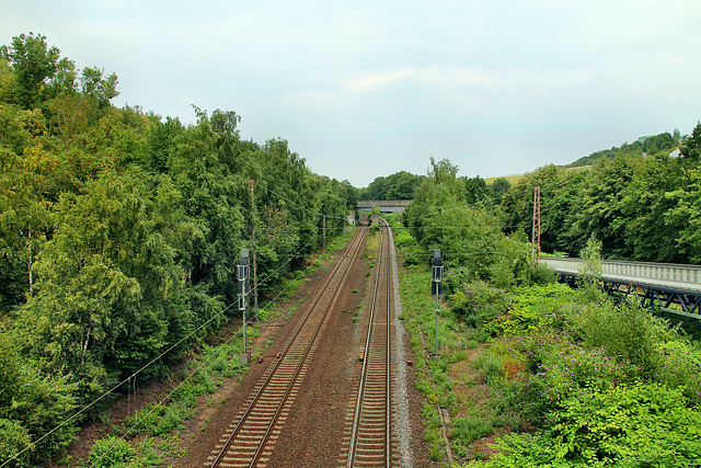 Die Hamm-Osterfelder Bahn im "Tal" zwischen den Halden (Bottrop-Batenbrock) / 22.07.2018
