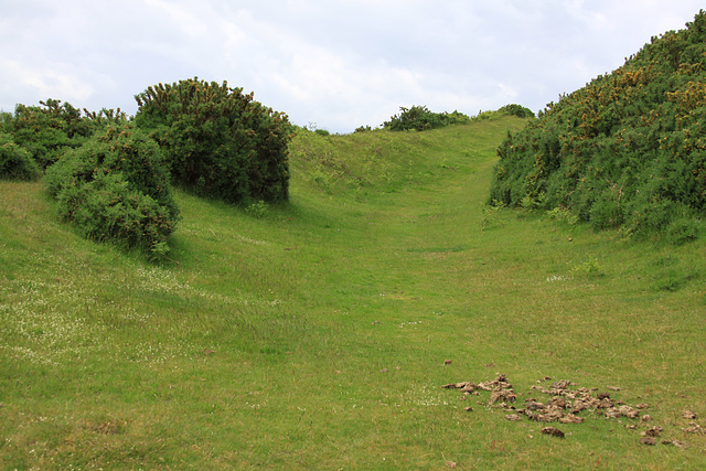 Pen y Crug, old ironage hillfort