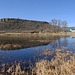 Buena Vista Pond and Overlook