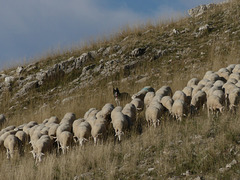 20250916 -19 Haut diois (Cascades Sapet - Valdrome) (115)