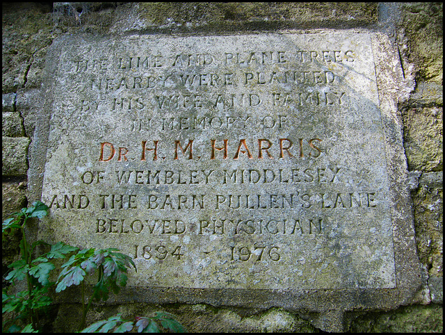 Dr Harris memorial stone