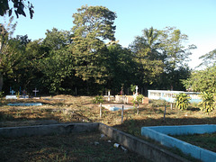 Nicaraguan cemetery / Cimetière nicaraguayen