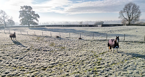 Keeping warm in the fields