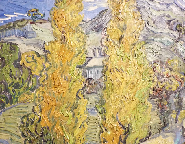 Detail of Two Poplars in the Alpilles near Saint-Remy by Van Gogh in the Metropolitan Museum of Art, July 2023