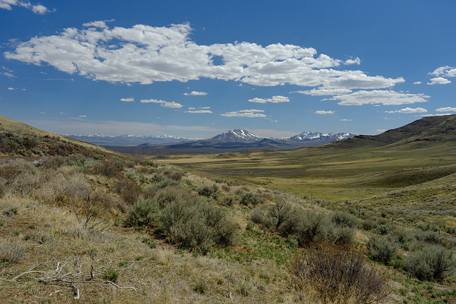 Trout Creek Mts beyond Fields