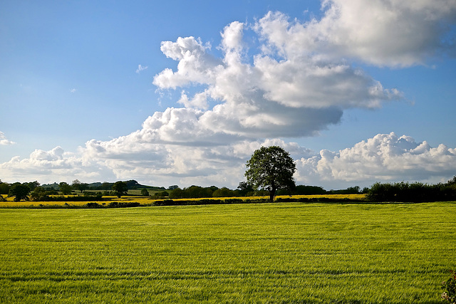 Evening clouds over Gnosall