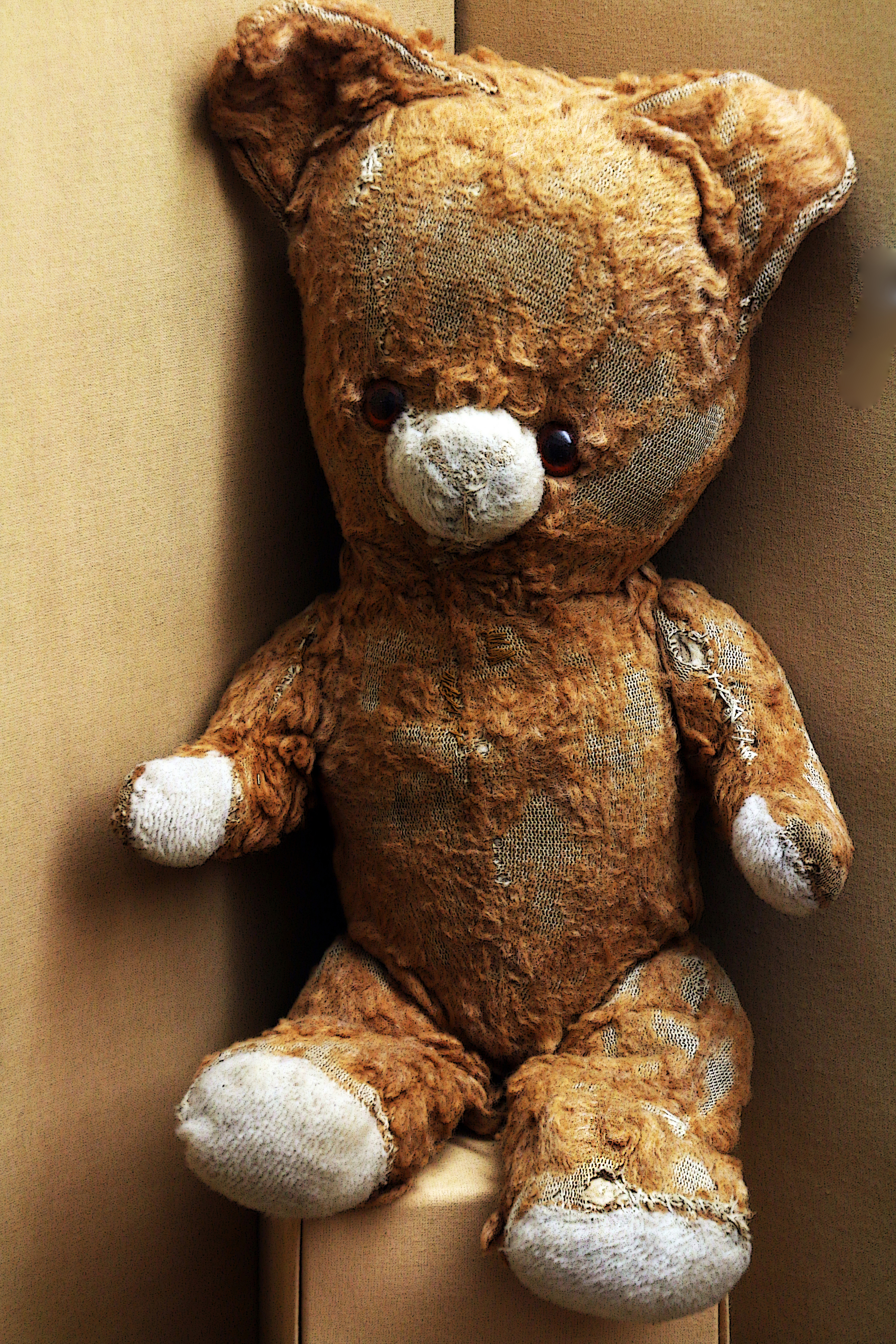 Nounours exposé au musée de Vendôme