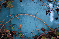 Urban Growth 2