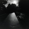 Gegenlicht - HBM