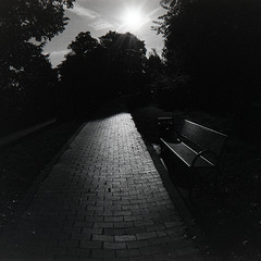 Gegenlicht - HBM
