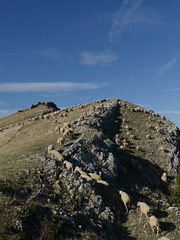 20250916 -19 Haut diois (Cascades Sapet - Valdrome) (108)